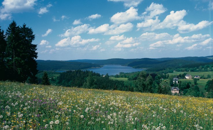 Sommerlandschaft im Erzgebirge © TV Erzgebirge