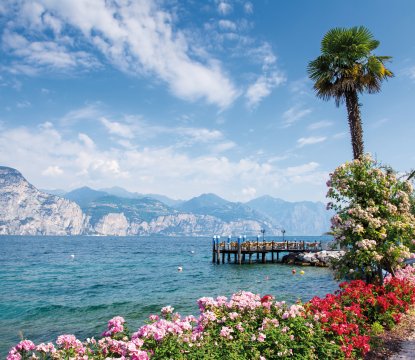  © manfredxy - fotolia.com