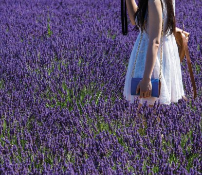  &copy; jake78-fotolia.com