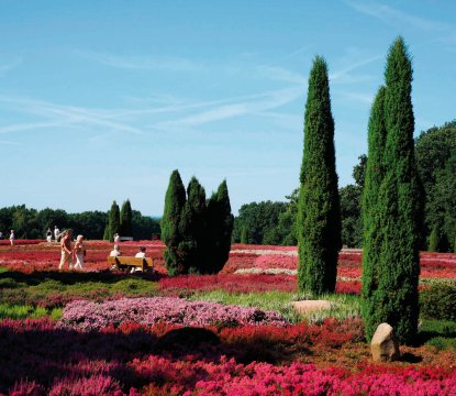  &copy; Schneverdingen Touristik/ Foto: Thorsten Krüger