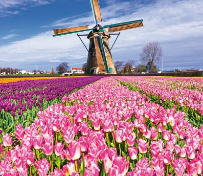  © iStock.com/Freeartist