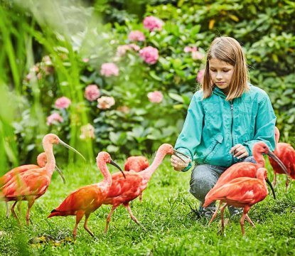  © Weltvogelpark Walsrode/Matthias Dahl